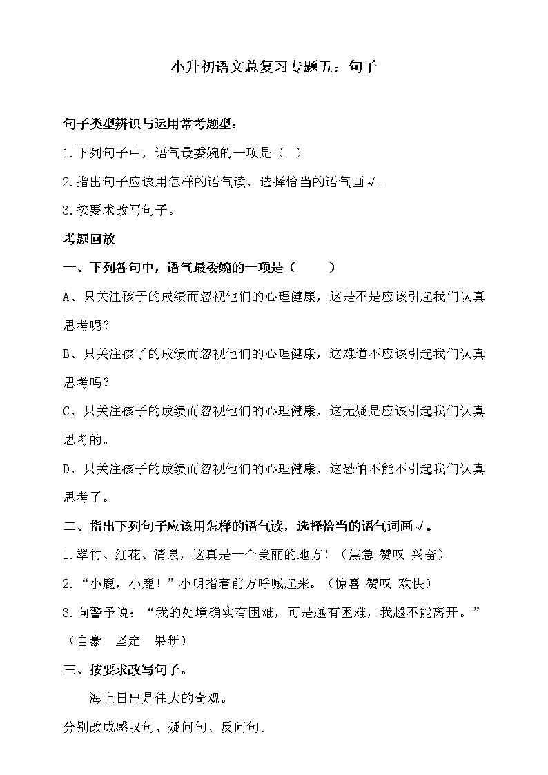 部编版小升初语文总复习专题五·句子（类型辨识与运用）同步练习（含答案）01