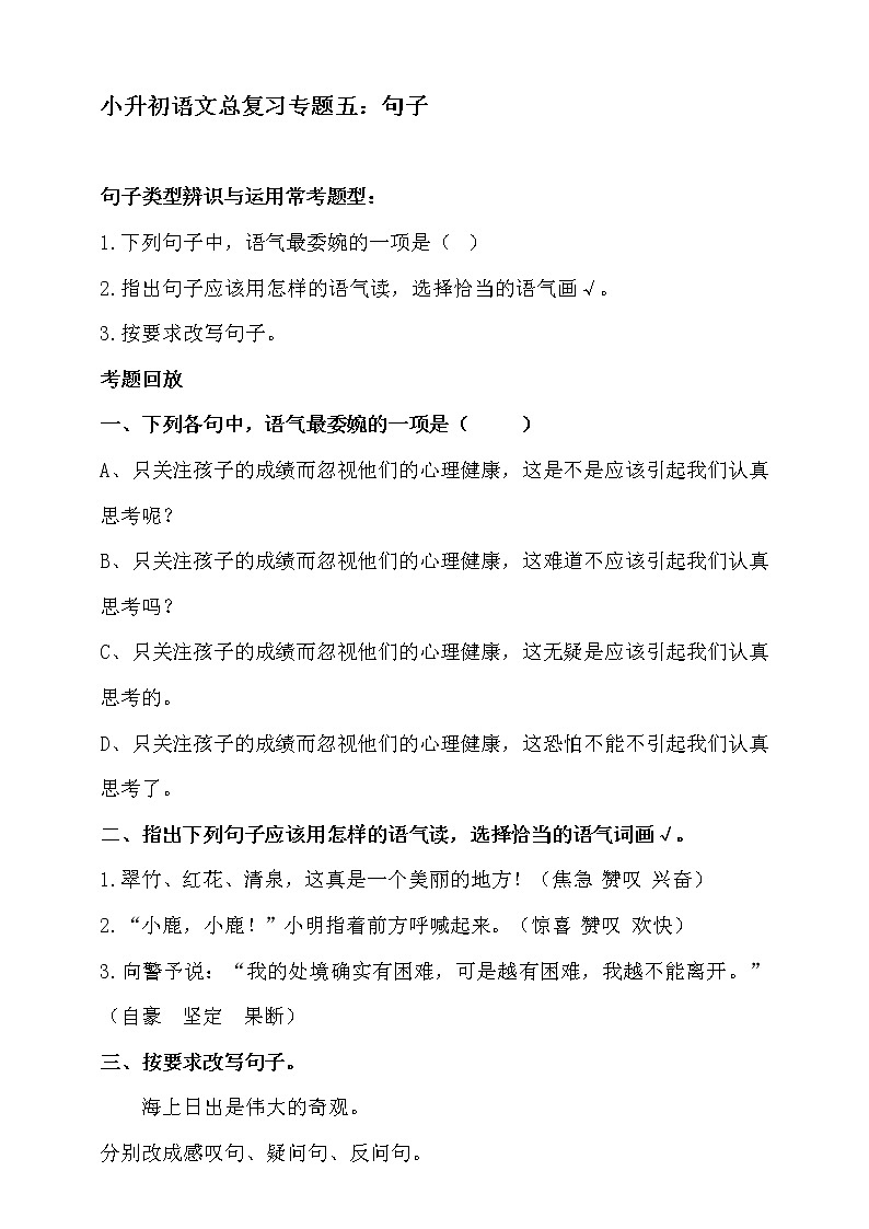人教统编版小升初语文总复习专题五·句子（类型辨识与运用）同步练习（含答案）第1页
