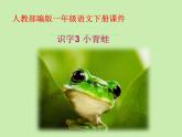 一年级下册语文课件-识字一3.小青蛙(人教部编版)(共12张PPT)
