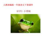 一年级下册语文课件-识字一3.小青蛙(人教部编版)(共16张PPT)