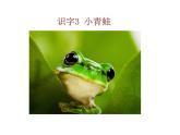 一年级下册语文课件-识字一3.小青蛙(人教部编版)(共16张PPT)