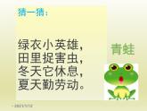一年级下册语文课件-识字一3.小青蛙(人教部编版)(共19张PPT)
