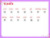 一年级下册语文课件-3.一个接一个（人教部编版）(共37张PPT)