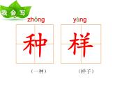 一年级下册语文课件-3.一个接一个（人教部编版）(共22张PPT)