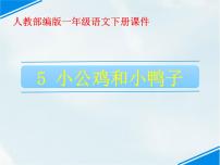 小学语文人教部编版一年级下册5 小公鸡和小鸭子课文内容课件ppt