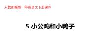 人教部编版一年级下册5 小公鸡和小鸭子授课课件ppt