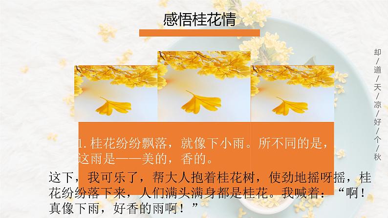 3+《桂花雨》PPT课件第6页