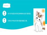 小学语文四年级下册《猫》教育教学课件