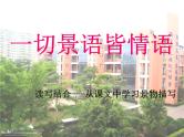 小学语文小升初专区5.景物描写的方法课件
