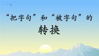 人教版（部编版）小学语文二年级下册期中期末专项复习  把字句和被字句的转换精品课件