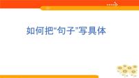 人教版（部编版）小学语文二年级下册期中期末专项    如何把句子写具体精品课件