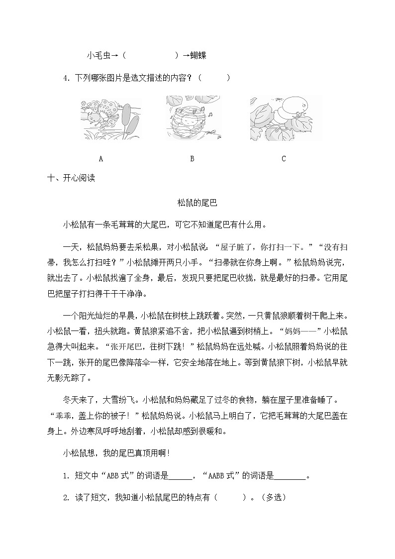 部编版语文二年级下册一课一练《22.小毛虫》（有答案）第3页