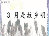 小学 语文 人教部编版 五年级下册人教部编版5年级下册语文3 月是故乡明课件