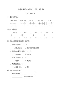 人教部编版五年级下册8 古诗三首综合与测试优秀达标测试