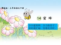 小学语文人教部编版三年级下册14 蜜蜂课文内容ppt课件