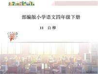 小学语文人教部编版四年级下册11 白桦多媒体教学课件ppt