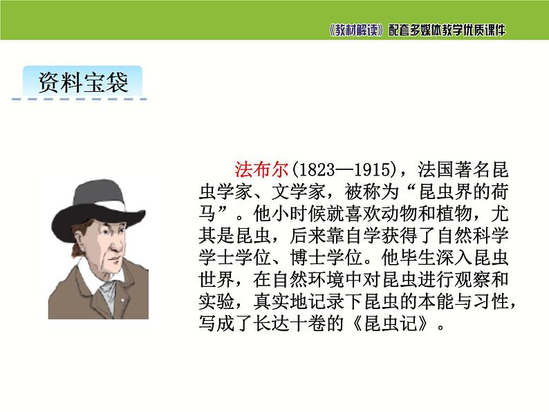 小学 语文人教部编版三年级下册第四单元14 蜜蜂课件03