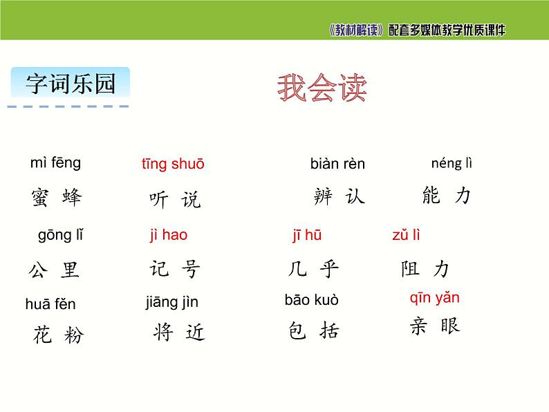小学 语文人教部编版三年级下册第四单元14 蜜蜂课件08