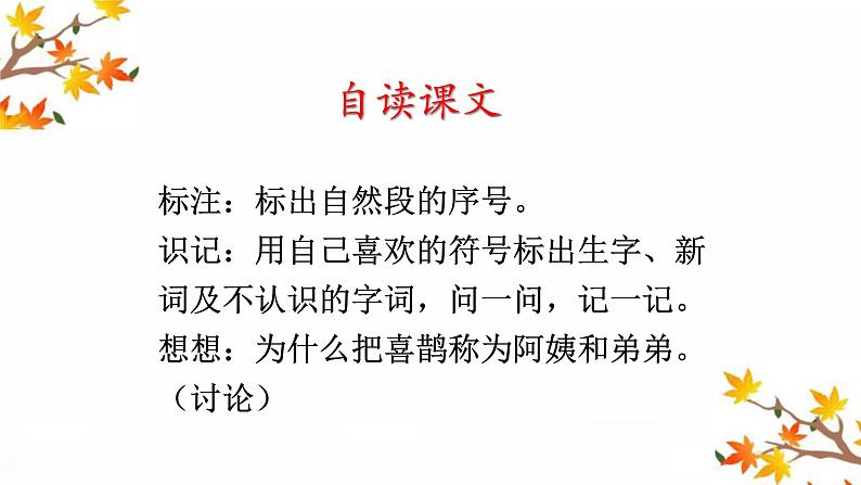 小学  语文 人教部编版二年级下册 课文 9 枫树上的喜鹊课件03