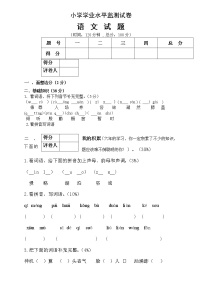 人教版六年级语文下册期末测试题 (5)