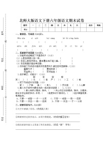 北师大版六年级下册语文期末试卷1