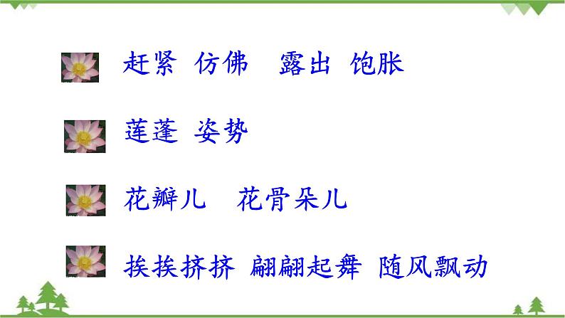 人教部编版三年级下册1.3荷花（课件+视频+教学设计）05