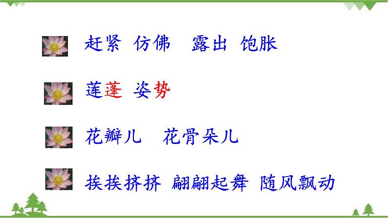 人教部编版三年级下册1.3荷花（课件+视频+教学设计）06