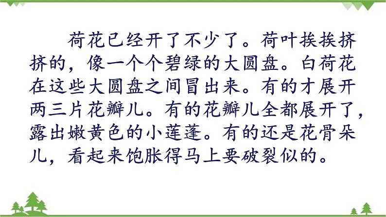 人教部编版三年级下册1.3荷花（课件+视频+教学设计）08