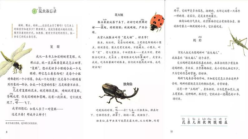 人教部编版三年级下册1.4昆虫备忘录课件第2页