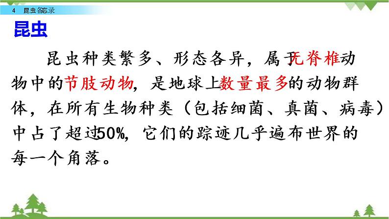 人教部编版三年级下册1.4昆虫备忘录课件第3页
