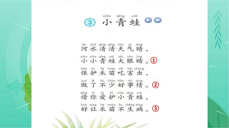 一年级语文下册课件-3 小青蛙18（优质课件）-部编版(共14张PPT)第3页