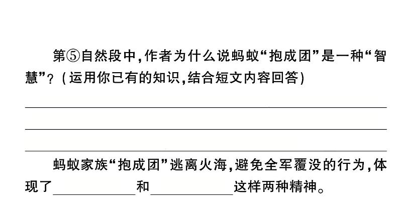 小学  语文 小升初专区  专题复习专项二十四   散文阅读07