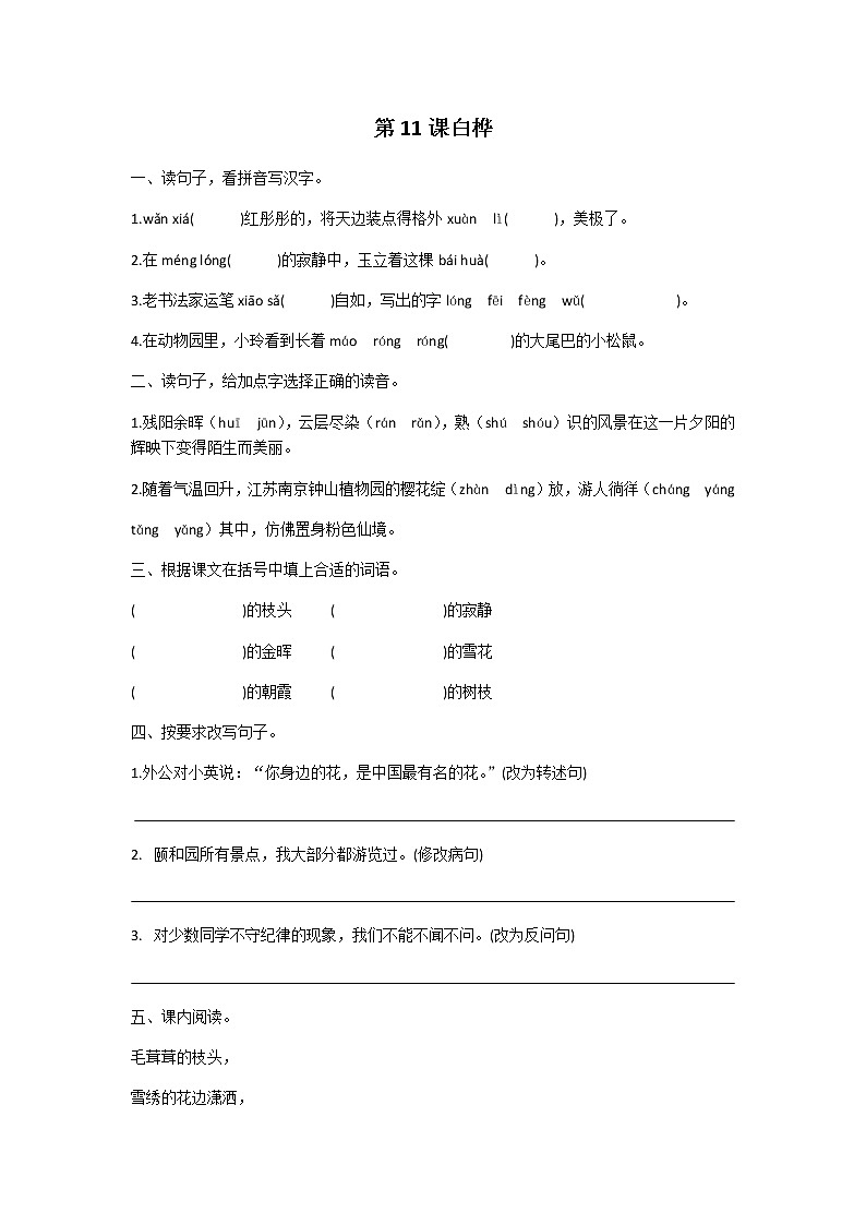 四年级下册语文第三单元第11课白桦同步练习题01