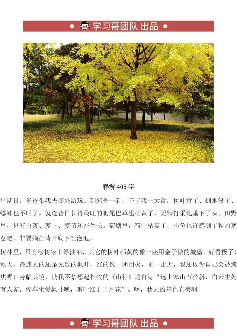 小升初关于春游的小学作文范文大汇总--3-24第3页