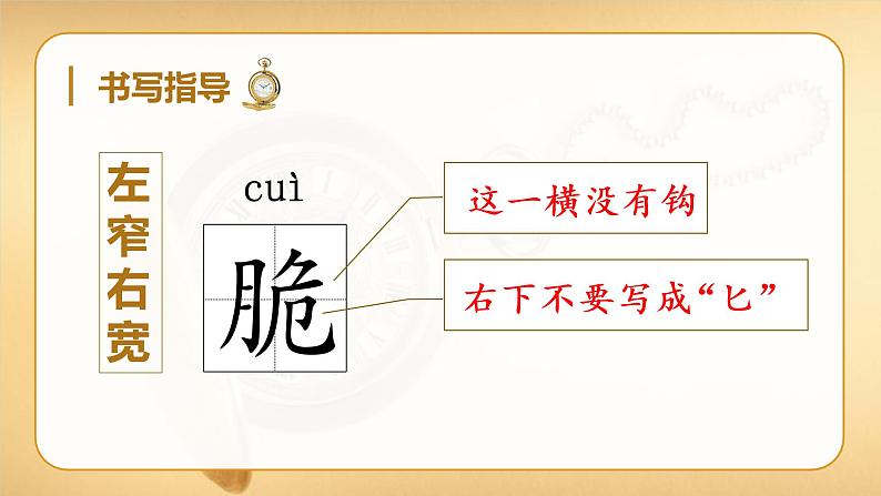 部编语文六下：16.表里的生物 精品PPT课件+课文朗读08