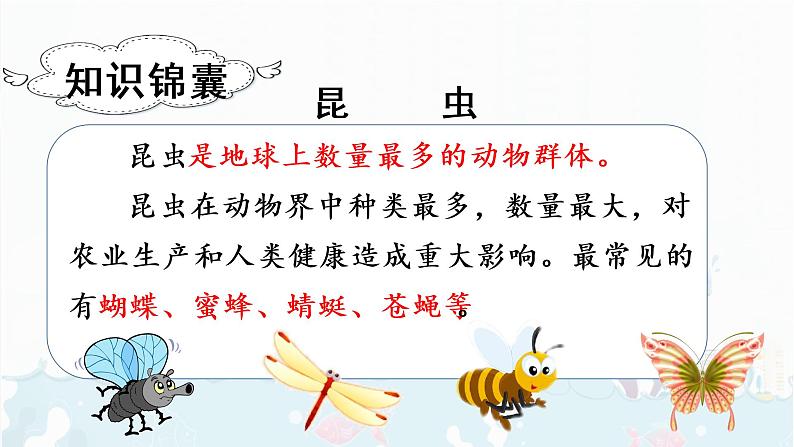 11.我是一只小虫子第3页