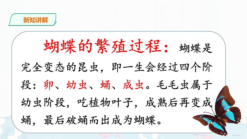 部编版语文二下：22《 小毛虫》PPT课件+音频05