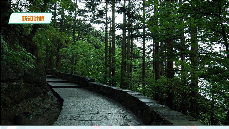 1.《古诗三首 》课件+音视频素材08