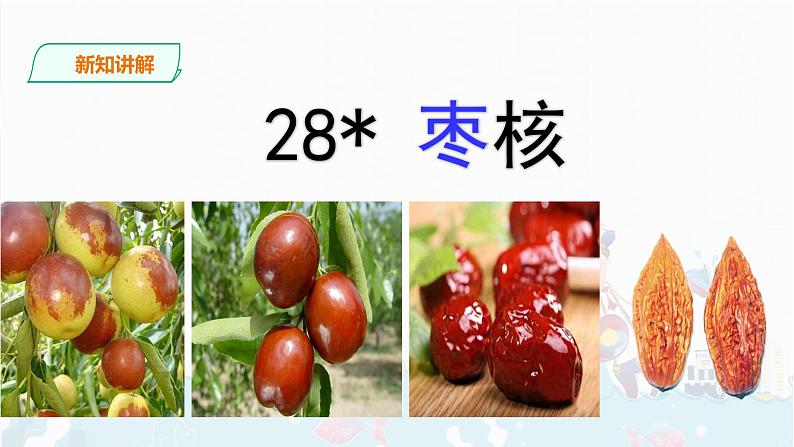 28《枣核》课件+音视频素材03