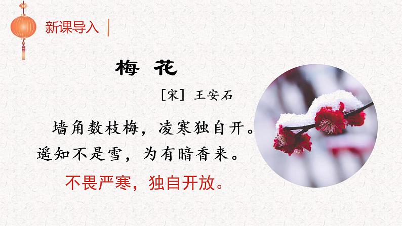 部编语文五下：4.梅花魂 精品PPT课件+课文朗读01