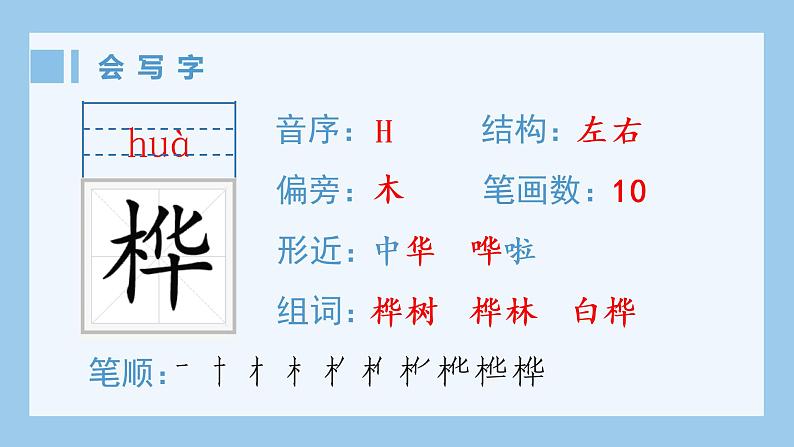 人教部编版语文四年级下册 11.白桦（生字+听写）PPT课件02