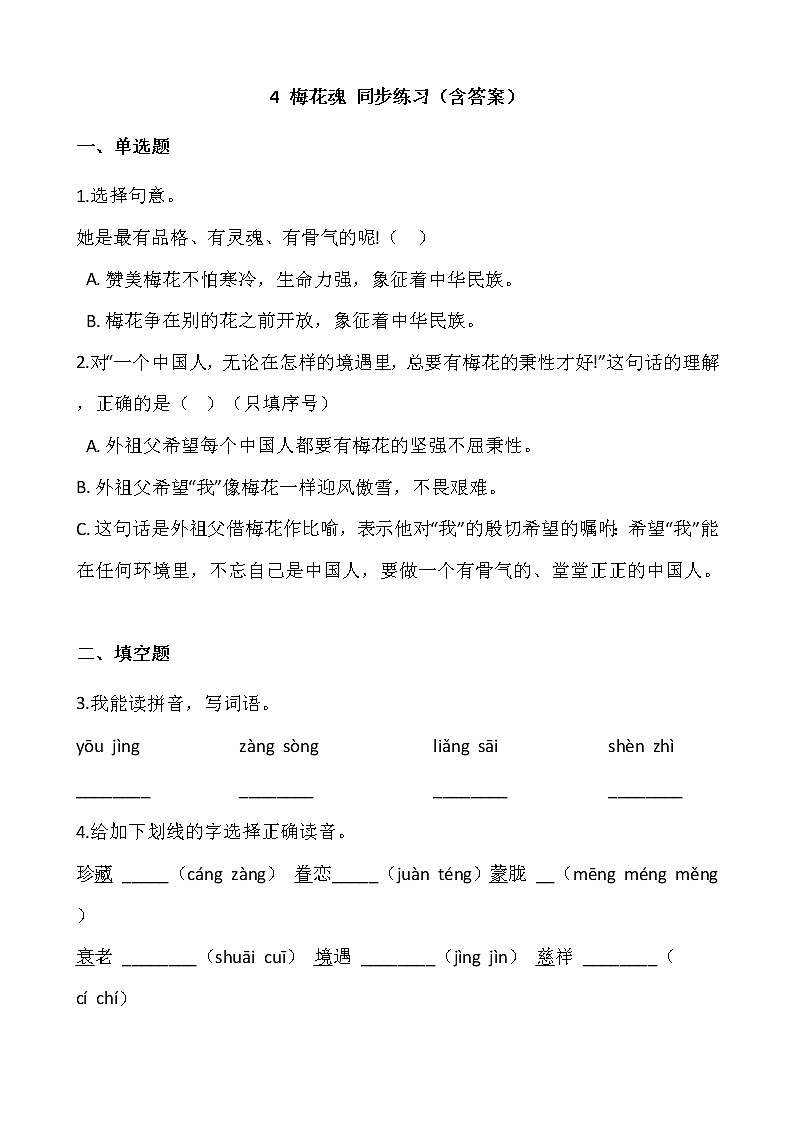 部编版五年级语文下册课课练 4 梅花魂 同步练习（含答案）01