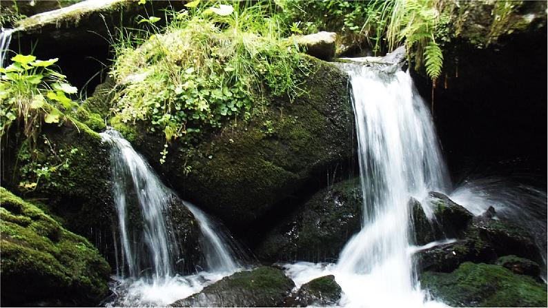 部编语文四下：4.三月桃花水 精品PPT课件+课文朗读04