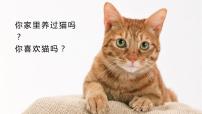 小学语文人教部编版四年级下册13 猫一等奖课件ppt