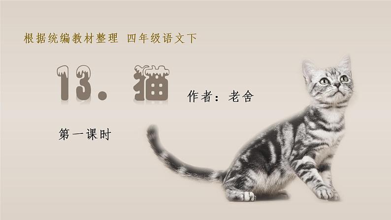 部编语文四下：13.猫 精品PPT课件+课文朗读04