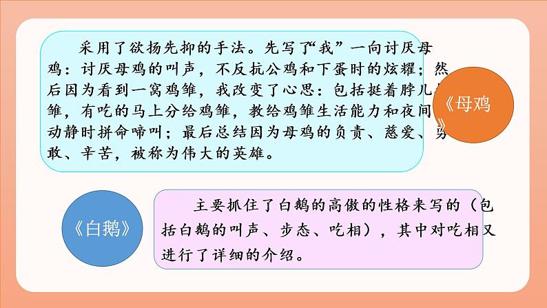 部编语文四下：习作四  我的动物朋友 精品PPT课件+习作例文05