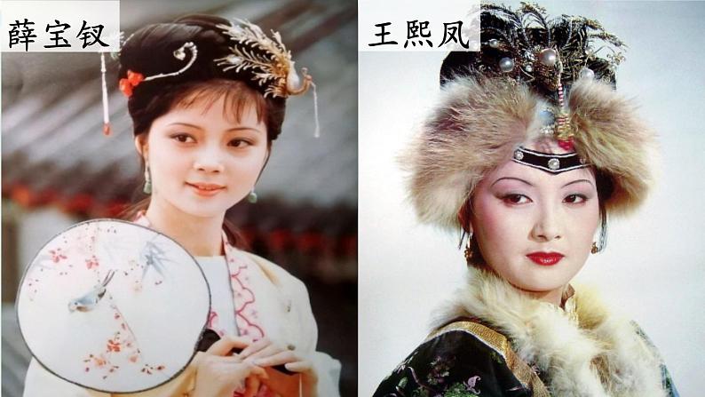 部编版五年级语文下册 2.4 红楼春趣（PPT课件+素材）06