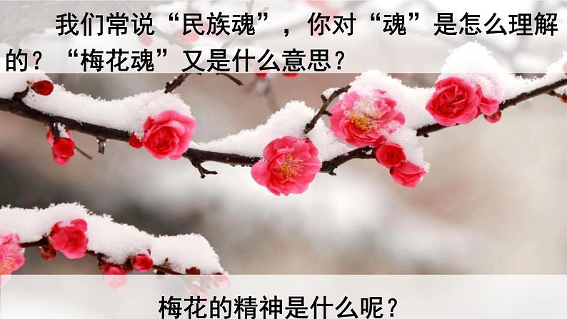 部编版五年级语文下册 1.4 梅花魂（PPT课件+素材）01