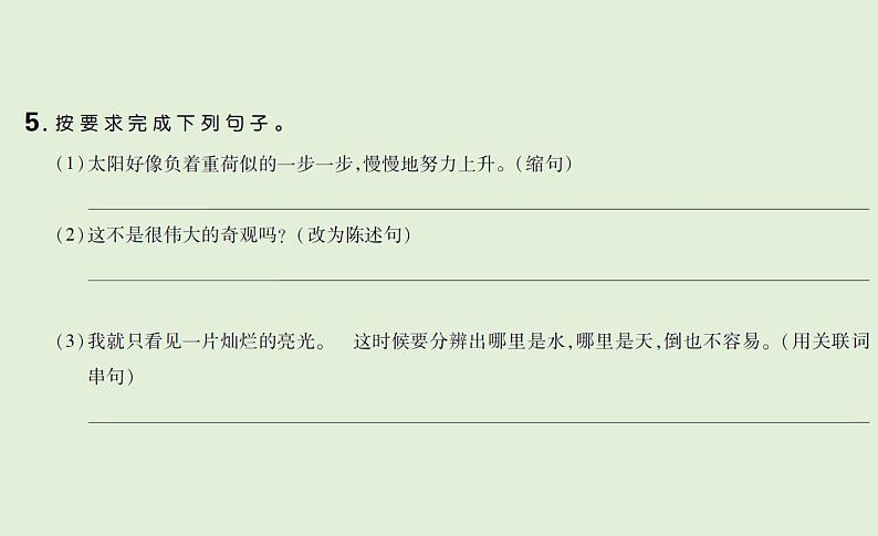 语文四年级下册第五单元 训练课件04