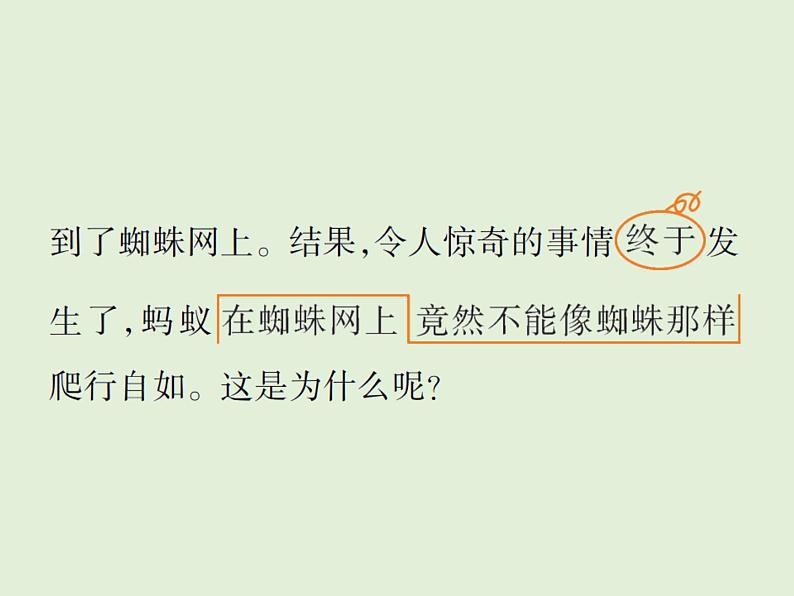 语文四年级下册第六单元 训练课件03